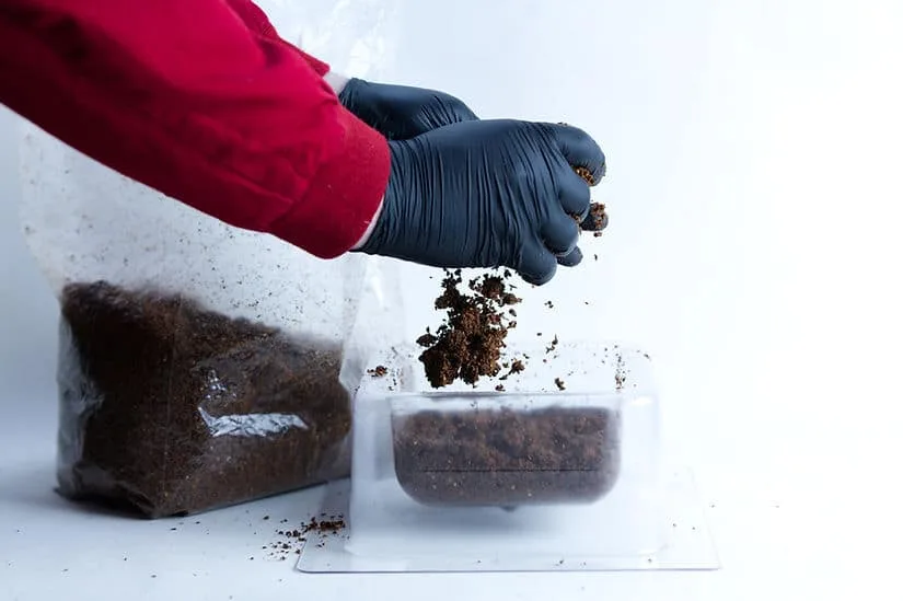 sawdust plant pot filled by hand