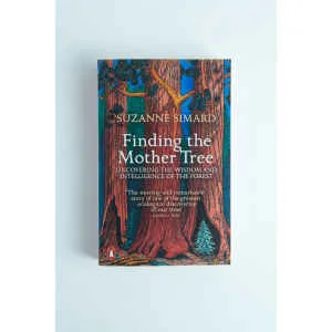 Finding the Mother Tree Front View