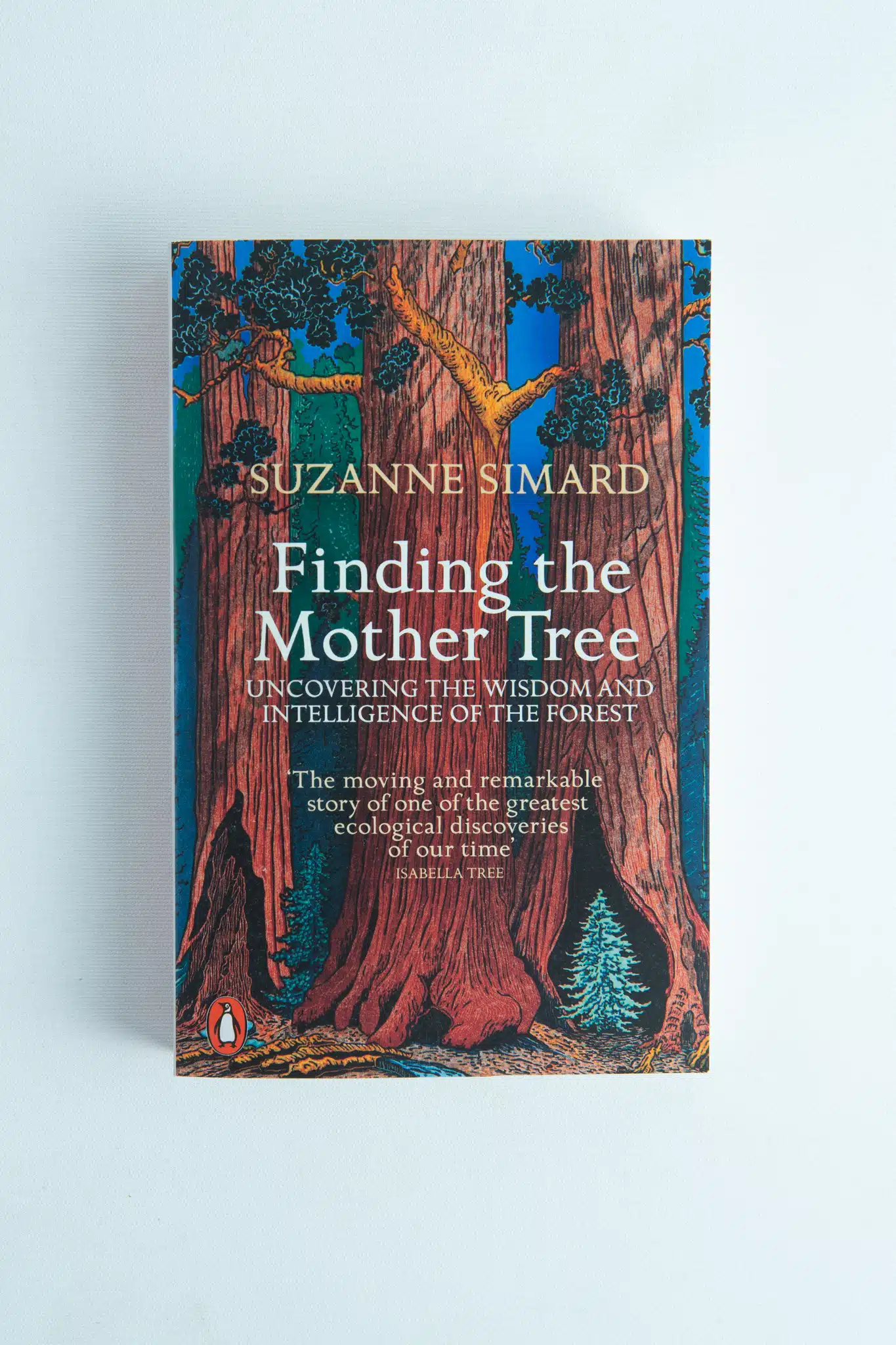 Finding the Mother Tree Front View