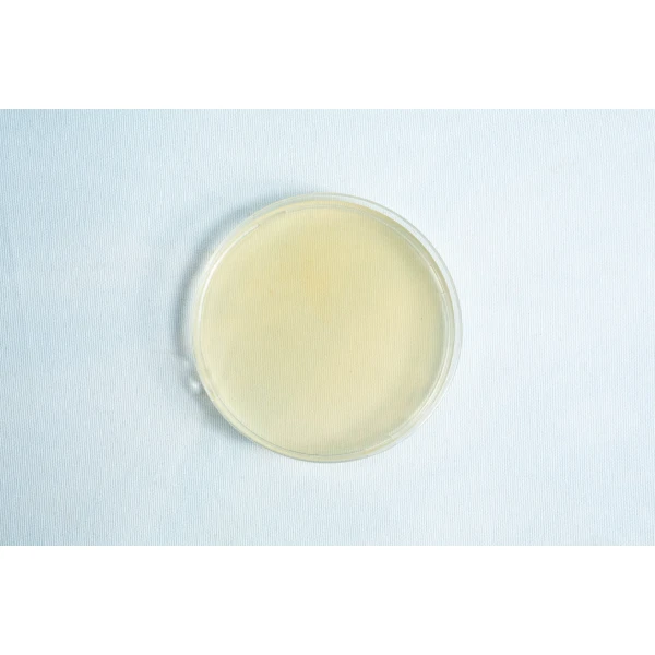 MEA Agar Plates Pre poured 90mm single
