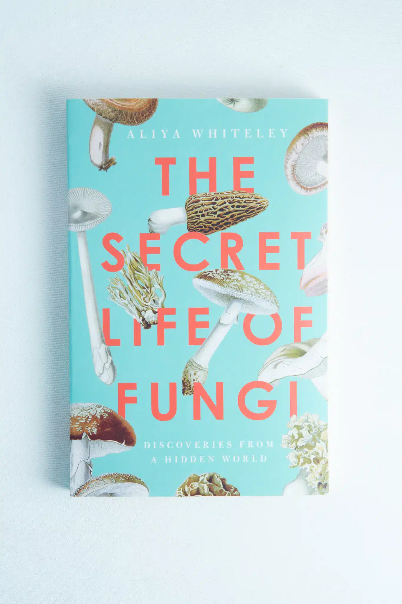The Secret Life of Fungi Front View