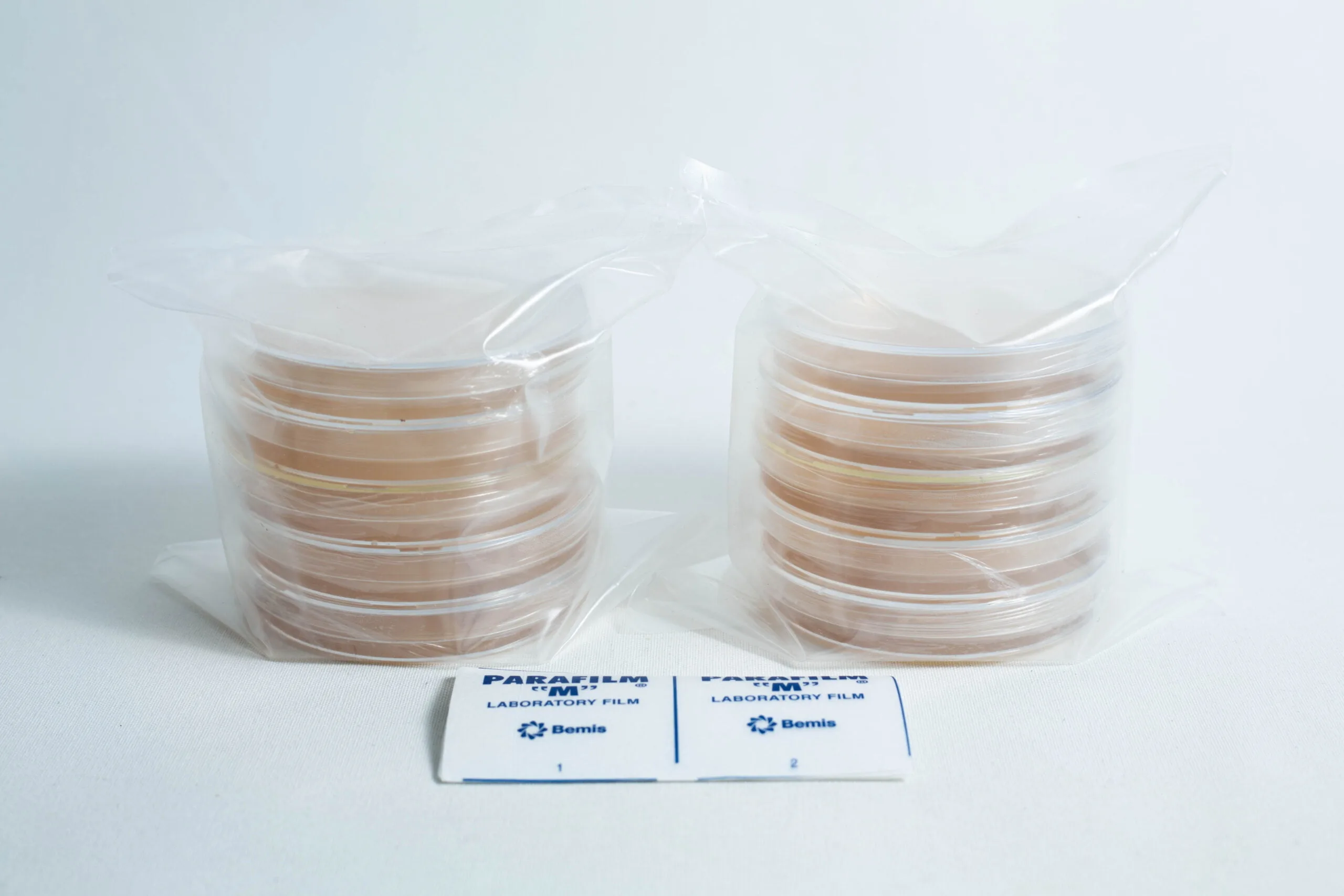 5 x MEAG and 5x MYPA Agar Plates Pre poured 90mm