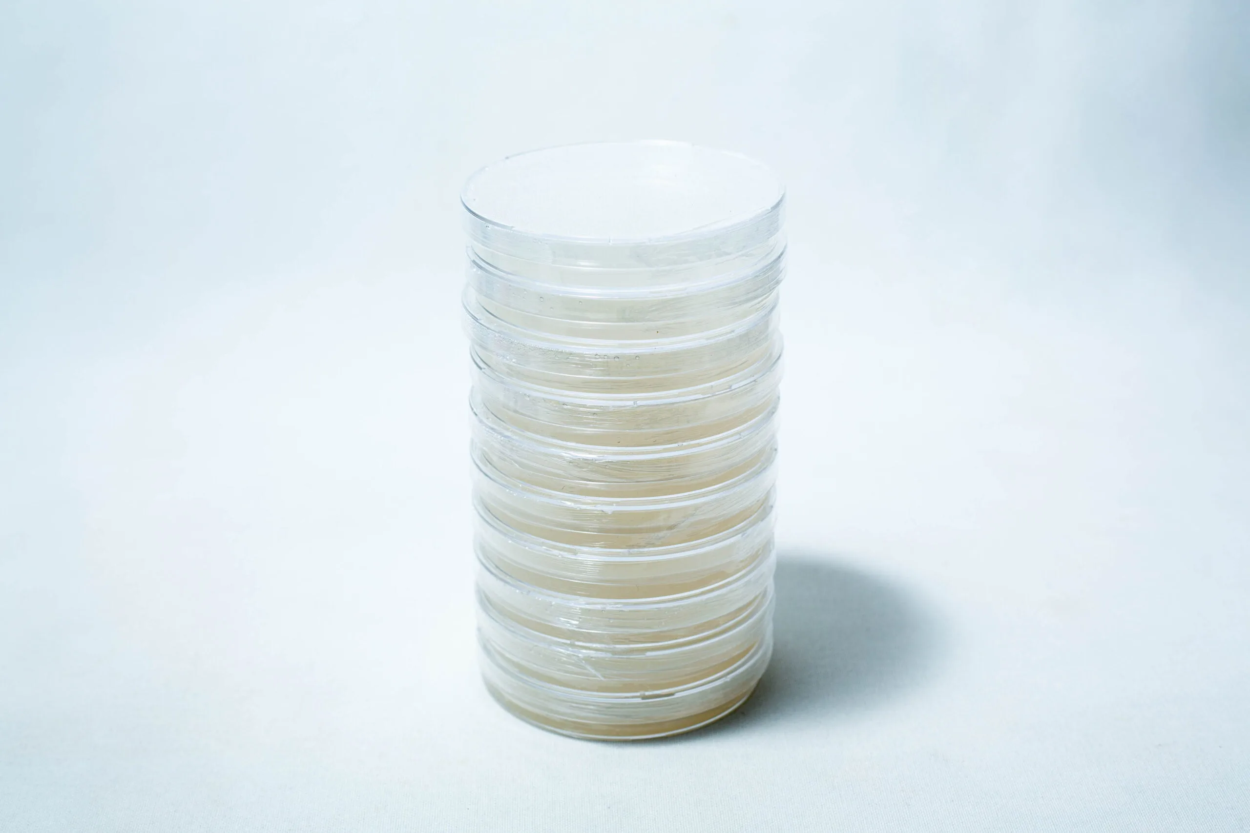 Water Agar Plates Pre poured 90mm Front view