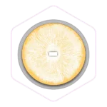 colonised-agar-plates