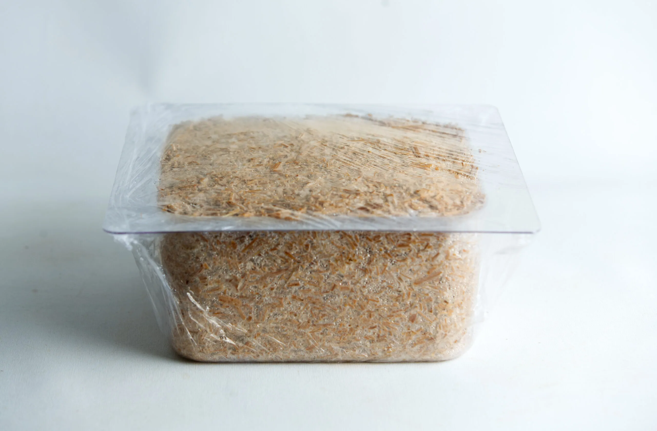 hemp-hurd plant pot growth in mold