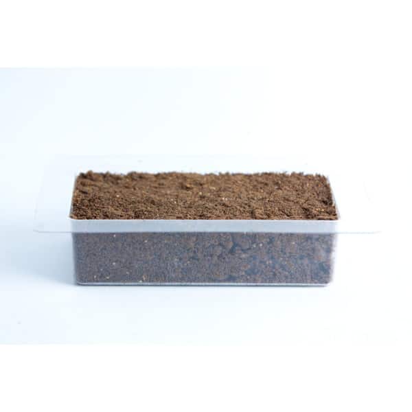Sawdust and bran filled in paver mold