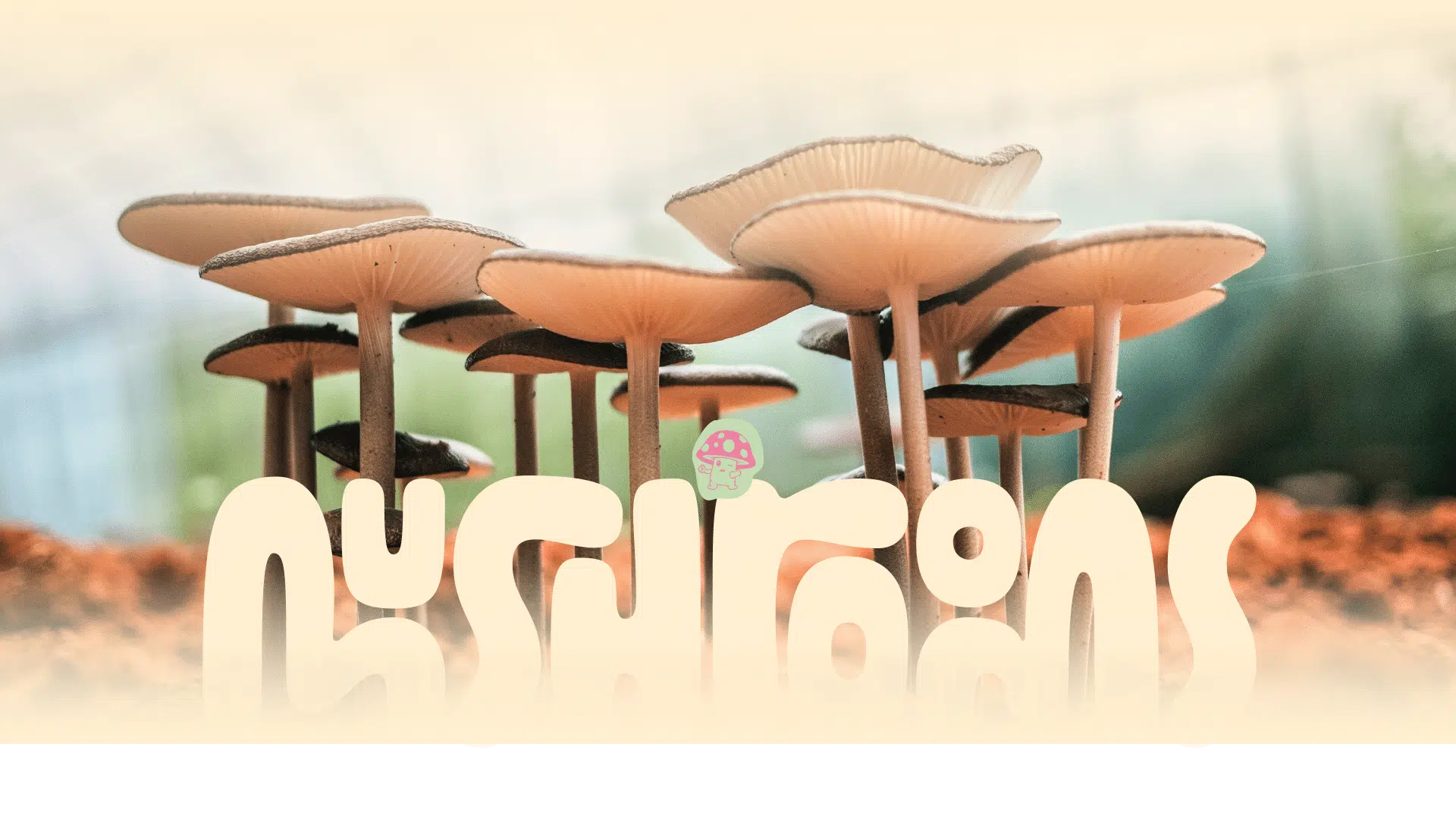 Tall mushrooms growing in soil with the words Global Mushroom Supplies in bold, playful letters at the bottom.