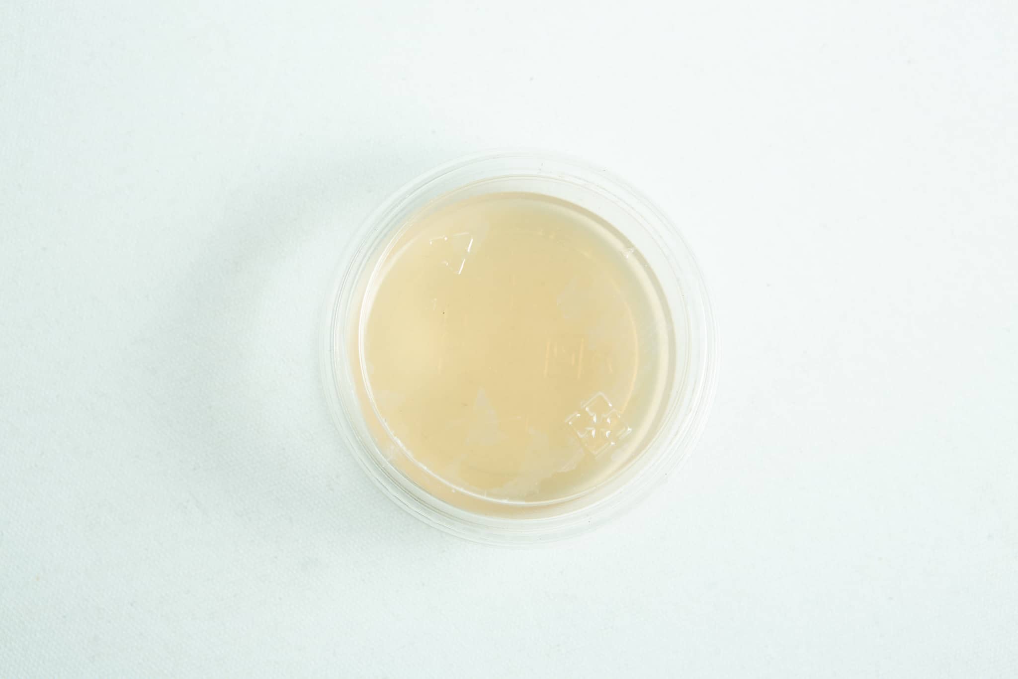Biodegradabe Agar cup single up