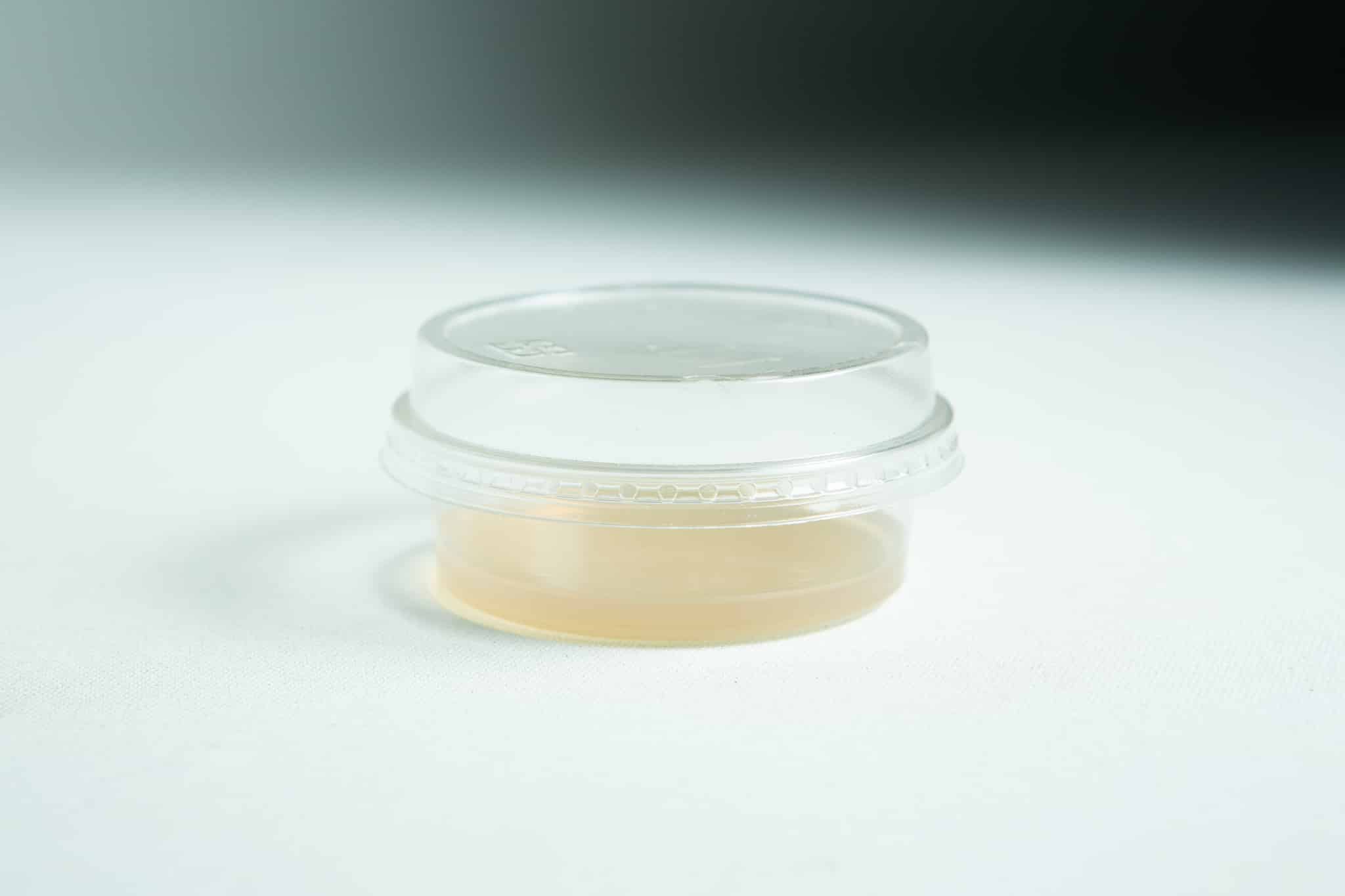 Biodegradabe Agar cup single