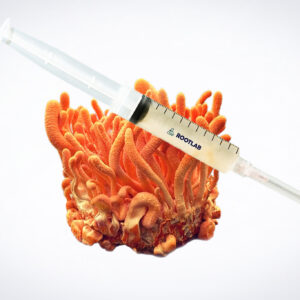 A Colonized Mushroom Culture on Agar Plate (Yellow Oyster, Pleurotus citrinopileatus) and a liquid-filled syringe highlight the vibrant world of mushroom cultivation.