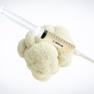 A syringe atop cauliflower against a white background shows the inoculation process using Colonized Mushroom Culture on Agar Plate | Yellow Oyster | Pleurotus citrinopileatus.
