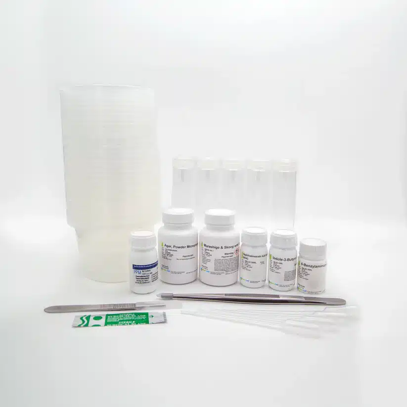 The Plant Cell Tissue Culture Starter Kit includes plastic cups, bottles, droppers, tubes, tweezers, and alcohol prep pads—perfect for exploring plant cell experiments in the lab.
