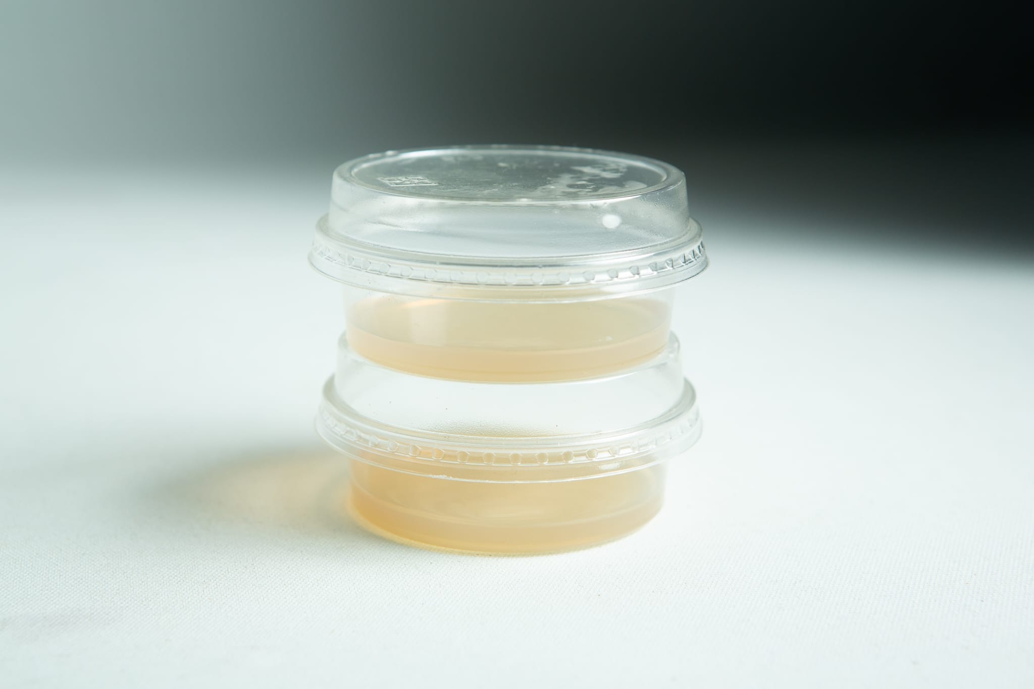 Stackabe Biodegradabe Agar cup