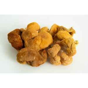 Cluster of fuzzy, golden-brown lions mane mushrooms on a white background.