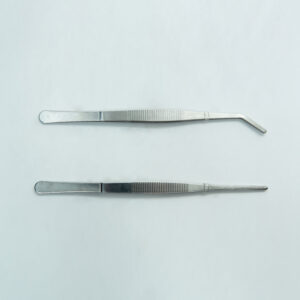 On a plain light background, two Stainless Steel Plant Tissue Culture Lab Forceps—one with straight tips and one with curved tips—are displayed. Each measures 25cm in length, providing excellent grip and control for precision tasks such as plant tissue culture.