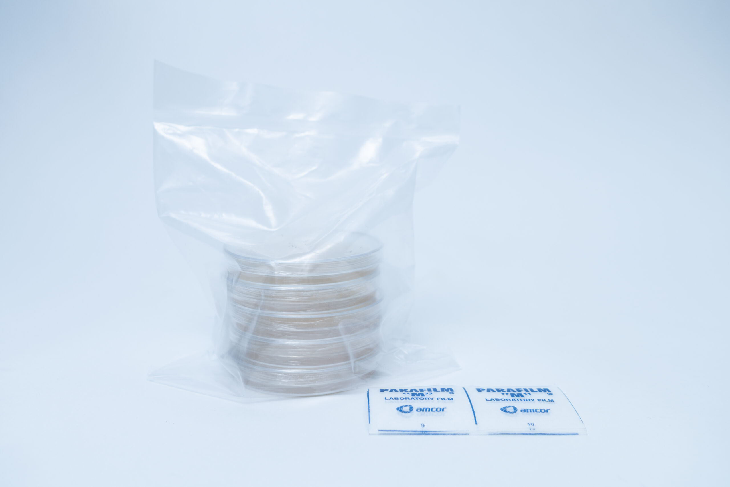 Stack of petri dishes in a clear plastic bag with two small packets labeled Parafilm beside them.