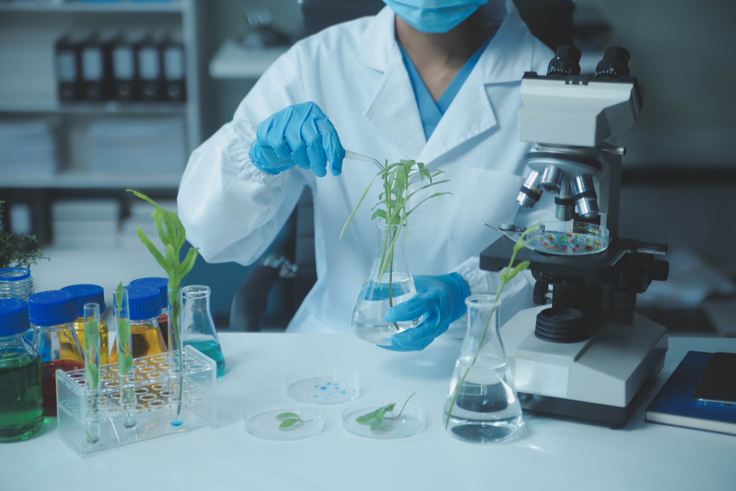 Scientist in lab coat examines plant samples in glassware near a microscope and test tubes.