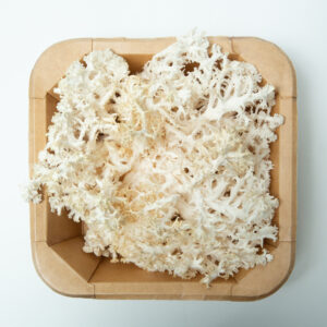 White coral mushroom in a brown paper tray, photographed from above on a white background.