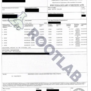 The Phytosanitary certificate includes details of mushroom shipments, shipment information, and the official stamps and signatures necessary to comply with international plant health regulations.