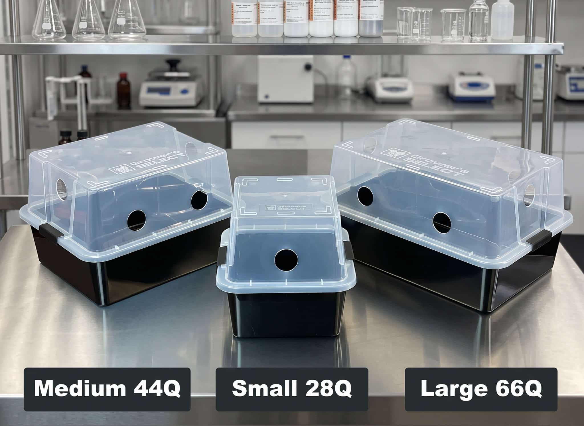 Three black plastic bins with clear lids serve as a Mushroom Monotub Fruiting Chamber : Hard case on a lab table.