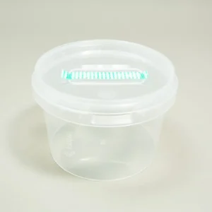 Clear plastic food container with a lid and a green vent strip.